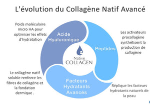 GEL Advanced Collagen + HA                                                          Concentration de 20